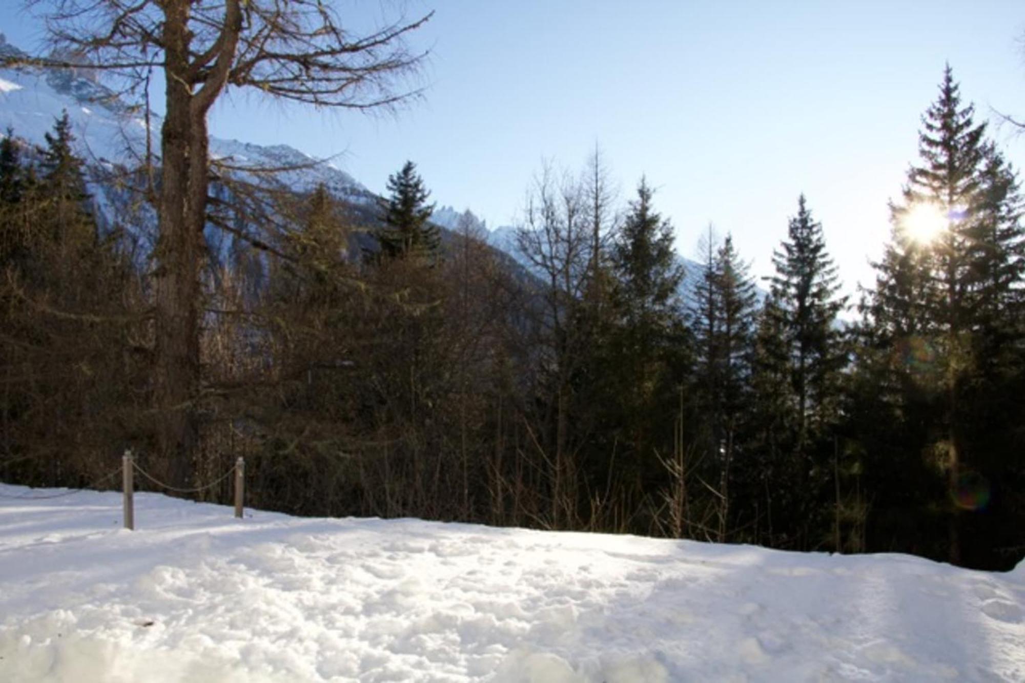A Little Corner Of Paradise In The Heart Of Nature Appartement *